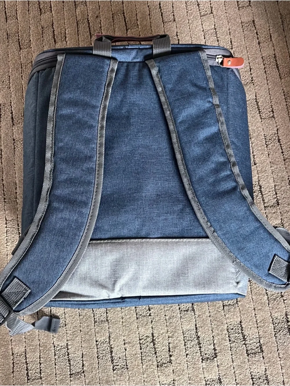 Samsonite Men's Two-Tone Blue Backpack Cooler
